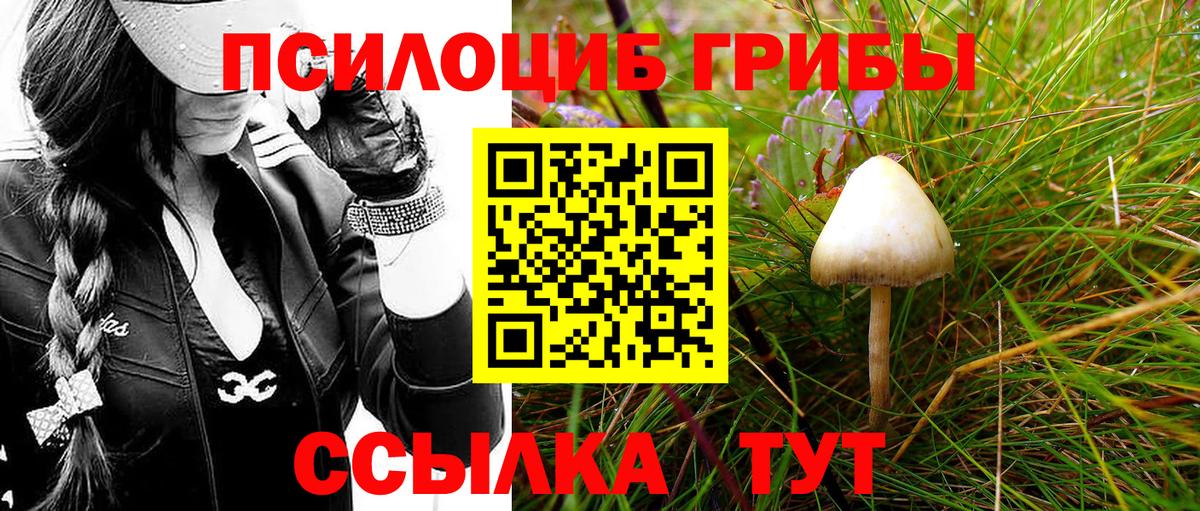 Дальнереченск  Галлюциногенные грибы Psilocybine cubensis  наркота  Вход с VPN 
